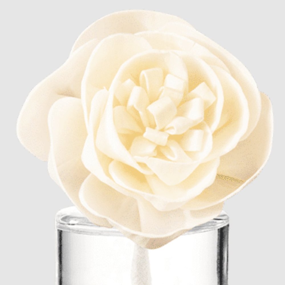 Scentsy Fragrance